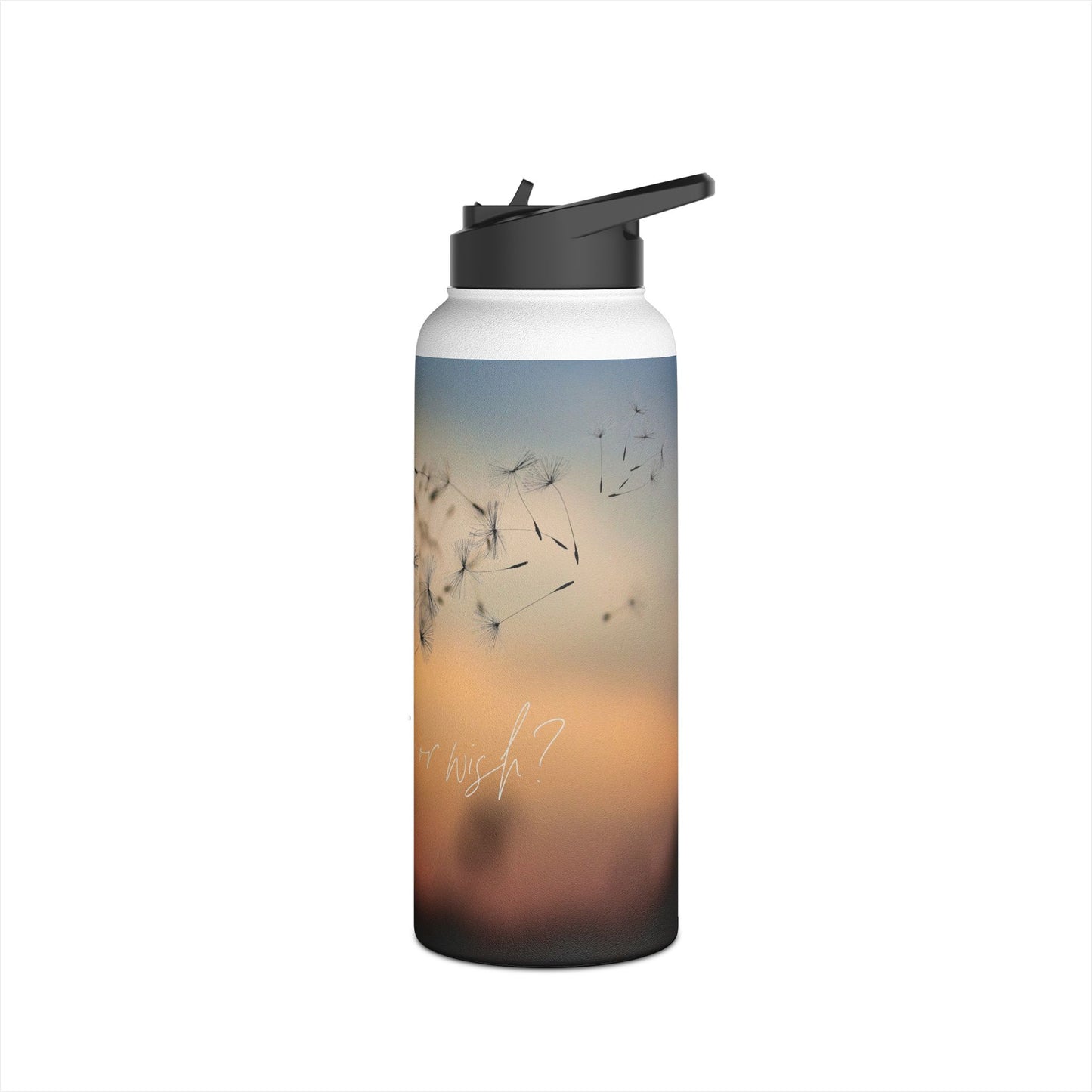 PDev Stainless Steel Water Bottle Series (10)