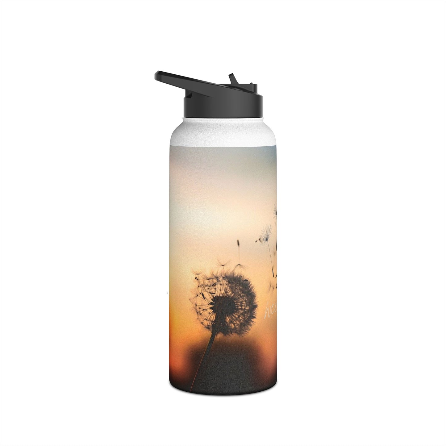 PDev Stainless Steel Water Bottle Series (10)